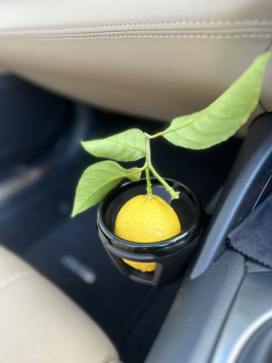 whitecarameltop's tweet photo. オープン退勤！
レモンいただいたからレモンホルダーに納めた！😆
#ビートルの花瓶みたい
#MAZDA 
#roadster https://t.co/RDV7z9453z
