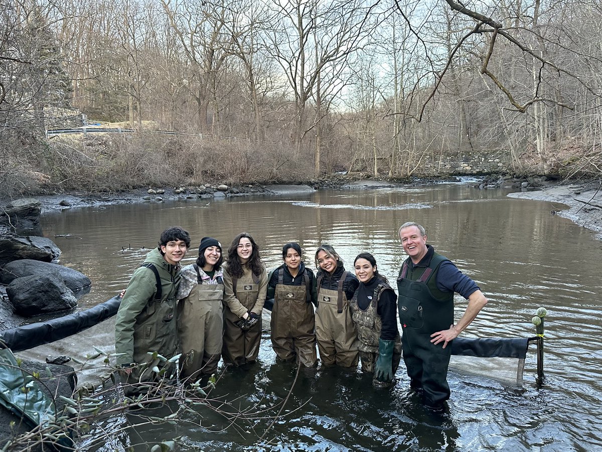 OHS_SciRe's tweet photo. Since 2005, Ossining research students have partnered with the NYS DEC to monitor American eel migration in a Hudson River tributary - I’m proud to see a new group of students take the lead for 2024! Congratulations Sairy &amp; Adriana on the launch of your projects! #OPride https://t.co/g2VNwDM1q2