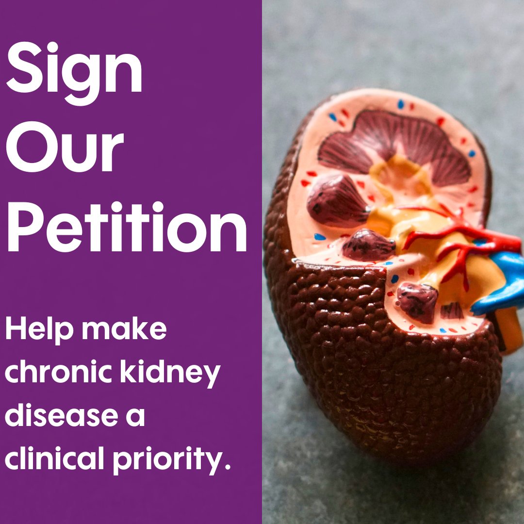 Sign our petition in Scotland! We urge the Scottish Government to make chronic kidney disease as a clinical priority. Elevate its status to prompt action for improved patient outcomes. Help prevent late diagnoses and kidney failure. Link below 👇 bit.ly/3SFANMJ