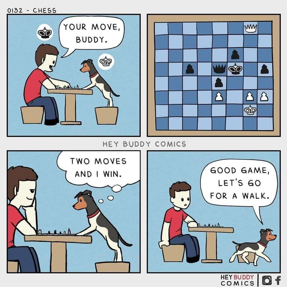 NerdyGeek's tweet image. #ChessDojo @chessdojo 

Study your Polgar Mate in 2’s!