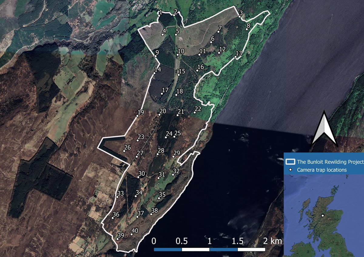 In a new study from @LovellRewild, @Pettorelli and @dawson_t camera traps were used to investigate differing land use preferences from 3 deer species and wild boar…the first of its kind to look at free-roaming wild boar in Scotland