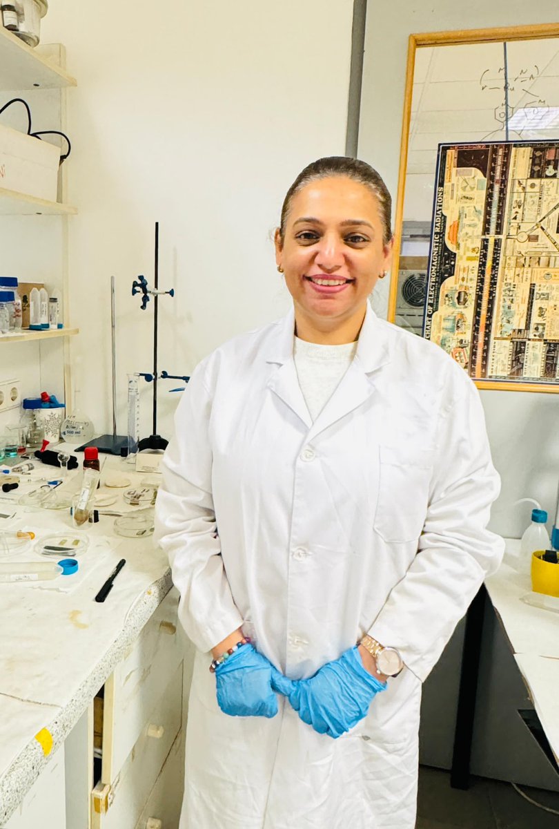 Talha Erdem tweet media