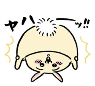 🐻‍❄️ tweet media