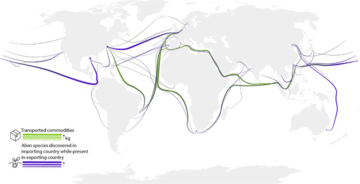 🌱Although detrimental, the impact assessment of transporting #alienspecies on terrestrial #biodiversity  is not yet applied in #LCA. Here we provide the first set of globally applicable CF that quantify their impacts on #ecosystems/kg transported. 
👉bit.ly/4btGUvd