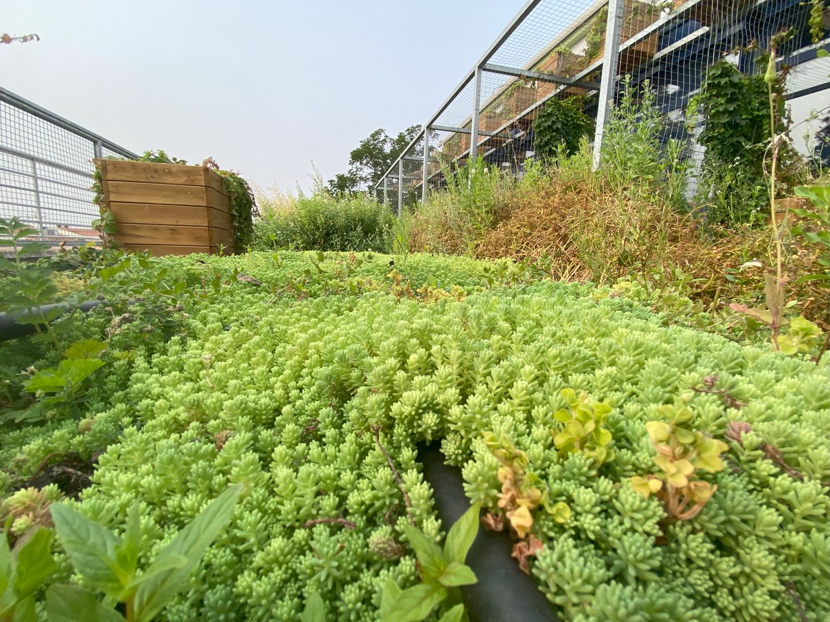 LIFE-myBUILDINGisGREEN tweet media