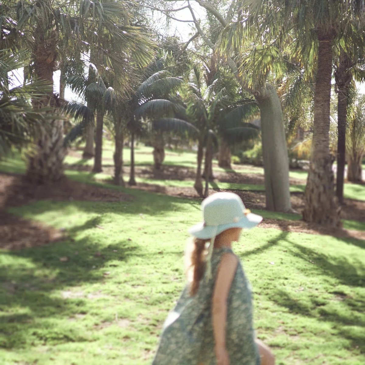 katrinatang.eth I GENESIS DROP ON ▲●■ tweet media