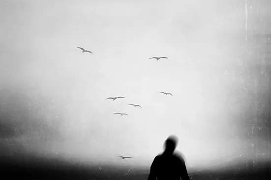 AlaaSteki's tweet photo. Once, in the midst of a passionate argument, I overheard a powerful statement: 'Trusting you was the path I embraced, yet proving me wrong became your rebellious choice.' Those words echoed and etched themselves permanently within the depths of my mind.. https://t.co/CoIxhMuPSc