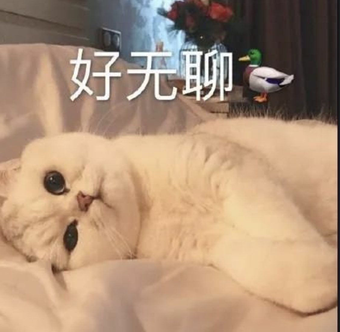 2121SJJSJS's tweet photo. 好无聊鸭 #树洞 #无聊 #男大学生 #聊天 https://t.co/smkkhvKWWr