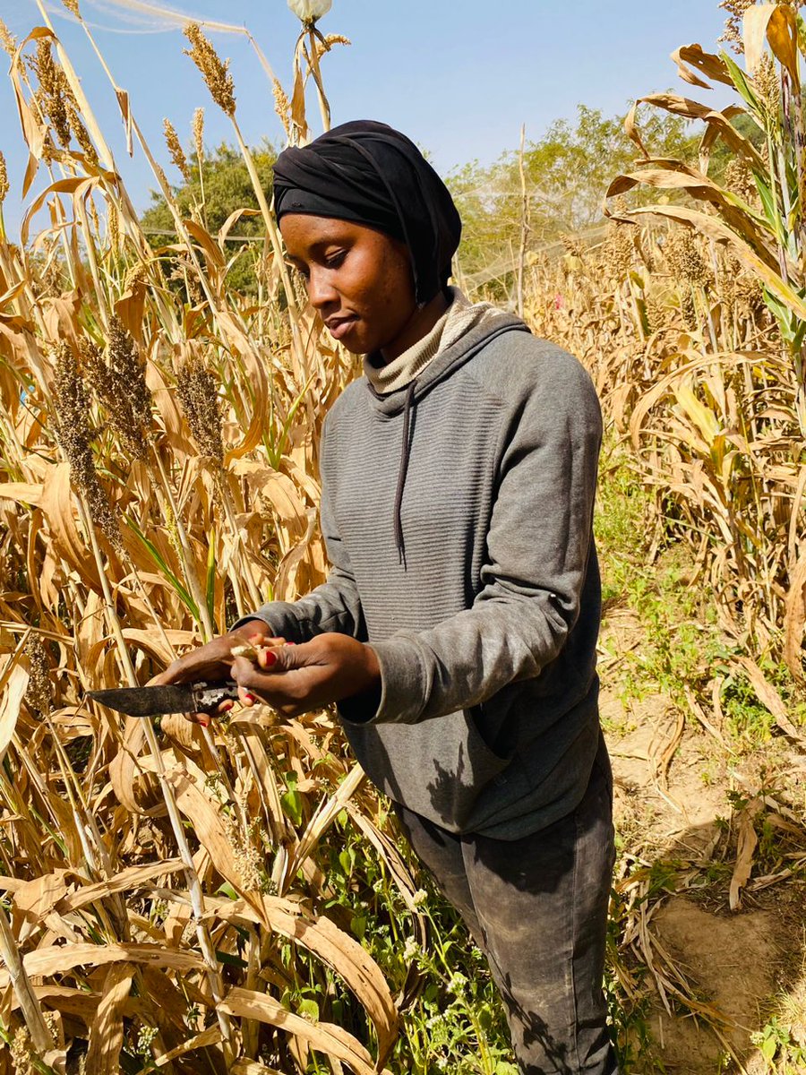 cherifa_zerbo's tweet photo. #BurkinaFaso
L'agriculture est fondamentale pour la subsistance humaine, la sécurité alimentaire et le développement économique. Vu son importance,elle est à encourager car elle relie les gens à la terre et à la nature, tout en offrant des opportunités diverses.
#bonneSemaine https://t.co/Jss16yQURK