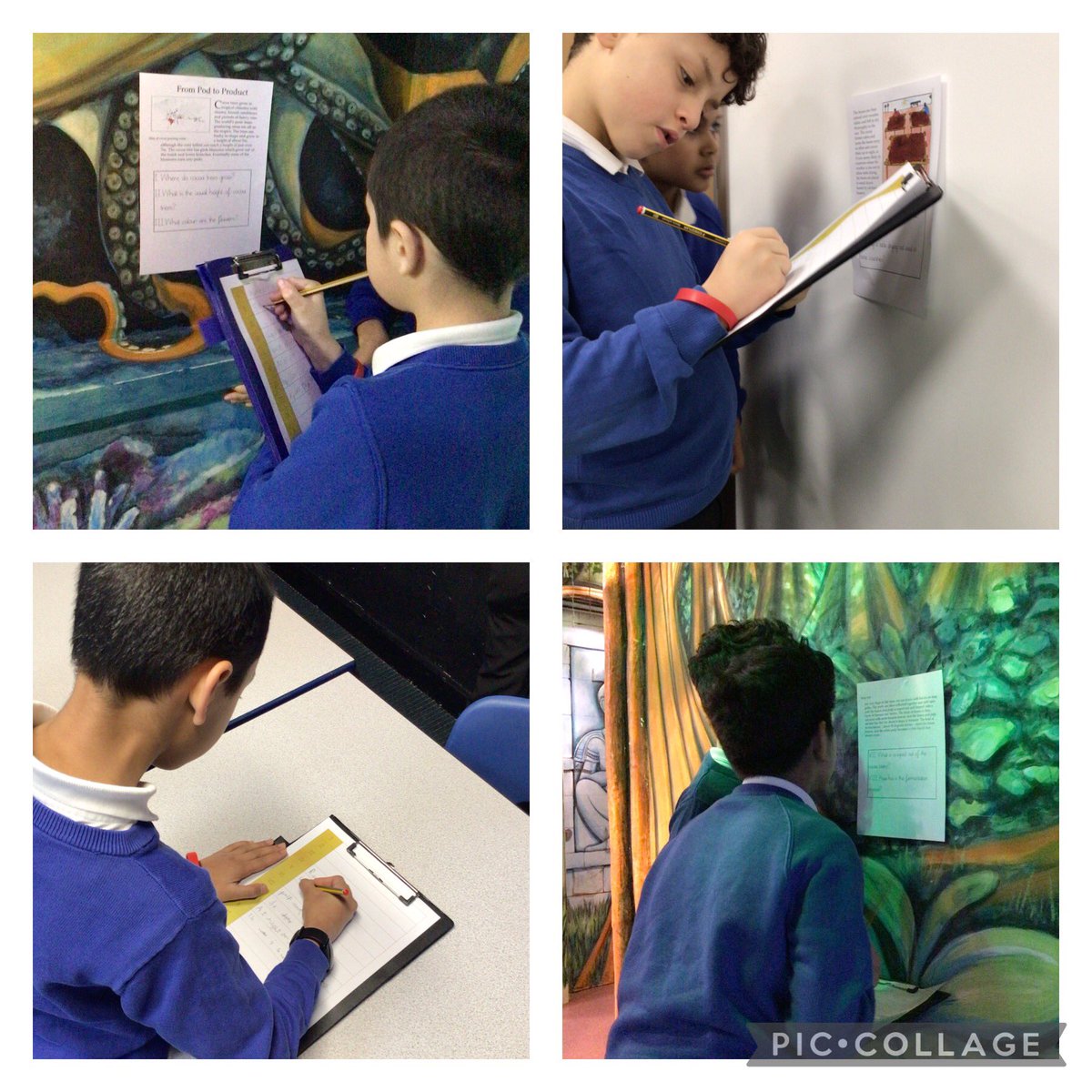 Rowlatts_TMET's tweet photo. Year 4 are finding parts of their text hidden around the school and are working in groups to retrieve the answers #rmreading #challenge https://t.co/0bpUY1jyer