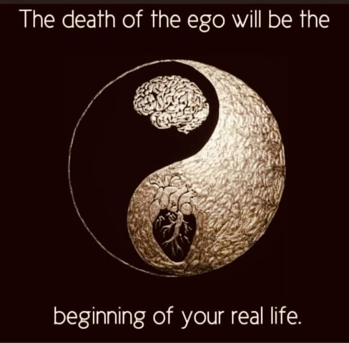 The death of the ego will be the end result of:
- emotional healing
- letting go of all your convictions and beliefsystems
- getting free of all the programming
And then... real life will begin!