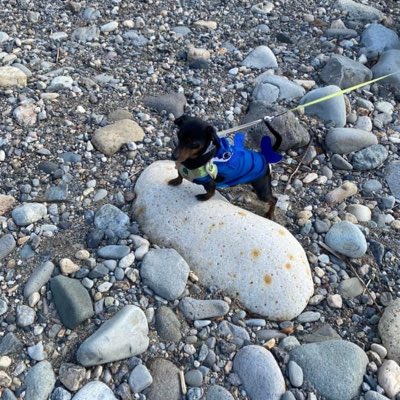 kenjiru2111's tweet photo. #NuevaFotoDePerfil https://t.co/Y05O7H43uu