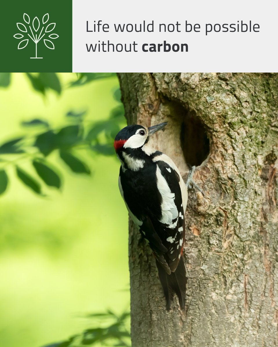 bioenergyEU's tweet photo. EU #policymakers need to stop feeding the #Earth with the wrong carbon by:
✅Phasing out #fossilfuel #subsidies
✅Set a #defossilisation strategy
✅#standards for fossil fuels
https://t.co/vZp0rjAee1
#EuropeanElections2024 https://t.co/glMiIDJqNX