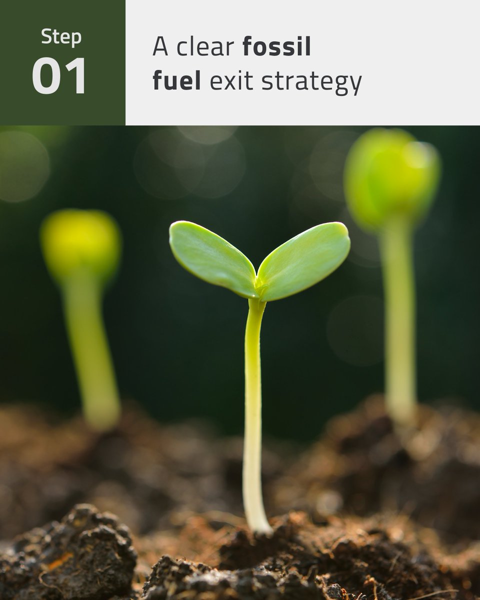bioenergyEU's tweet photo. EU #policymakers need to stop feeding the #Earth with the wrong carbon by:
✅Phasing out #fossilfuel #subsidies
✅Set a #defossilisation strategy
✅#standards for fossil fuels
https://t.co/vZp0rjAee1
#EuropeanElections2024 https://t.co/glMiIDJqNX