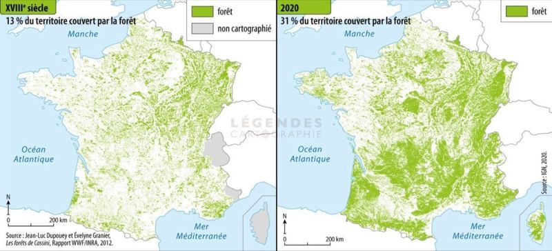 Here is the forest cover in France.
↳ 18th century vs. 20th century. 

Population in France grew from,
30 million →  60 million. 

Agricultural intensification is good.
↳ We should have more of it.