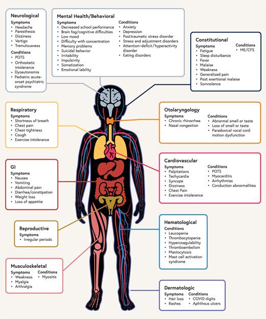 “Children and educators ‘overlooked’ and at greater risk of exposure due to the ‘total lack of proper mitigations in schools.’ Ht @chrischirp @SGriffin_Lab #LongCovid #Teachers #Children #CleanAir