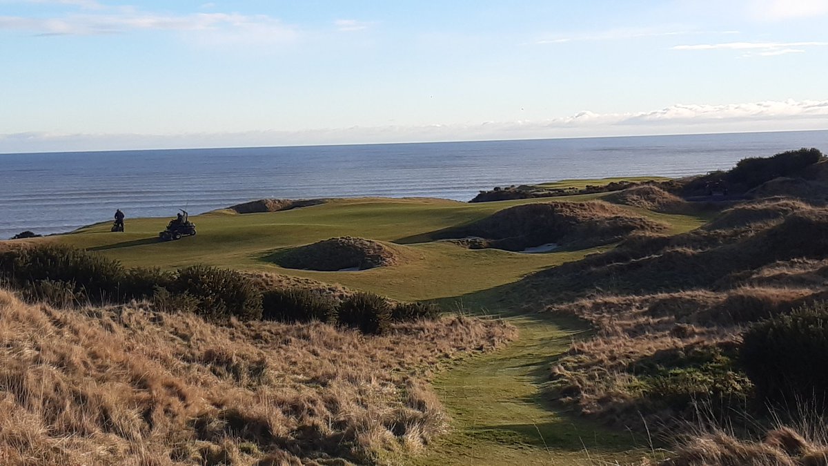 Graeme Taylor tweet media