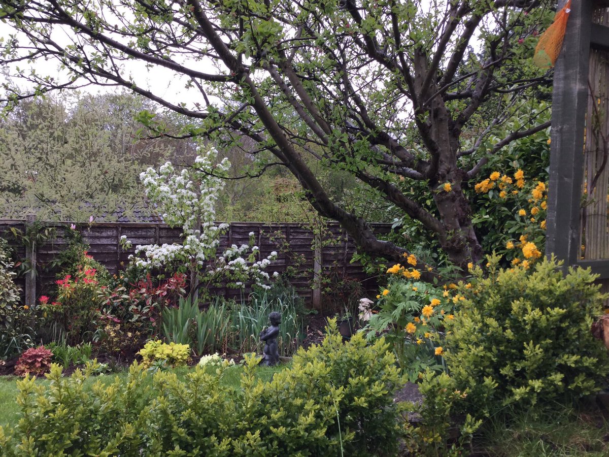 jobutlerthomas's tweet photo. #AlphabetChallenge #weekG       Garden  Joy .
#birds  #NaturalBeauty #Flowers  #plantafruittree https://t.co/hvJ62hIU5L