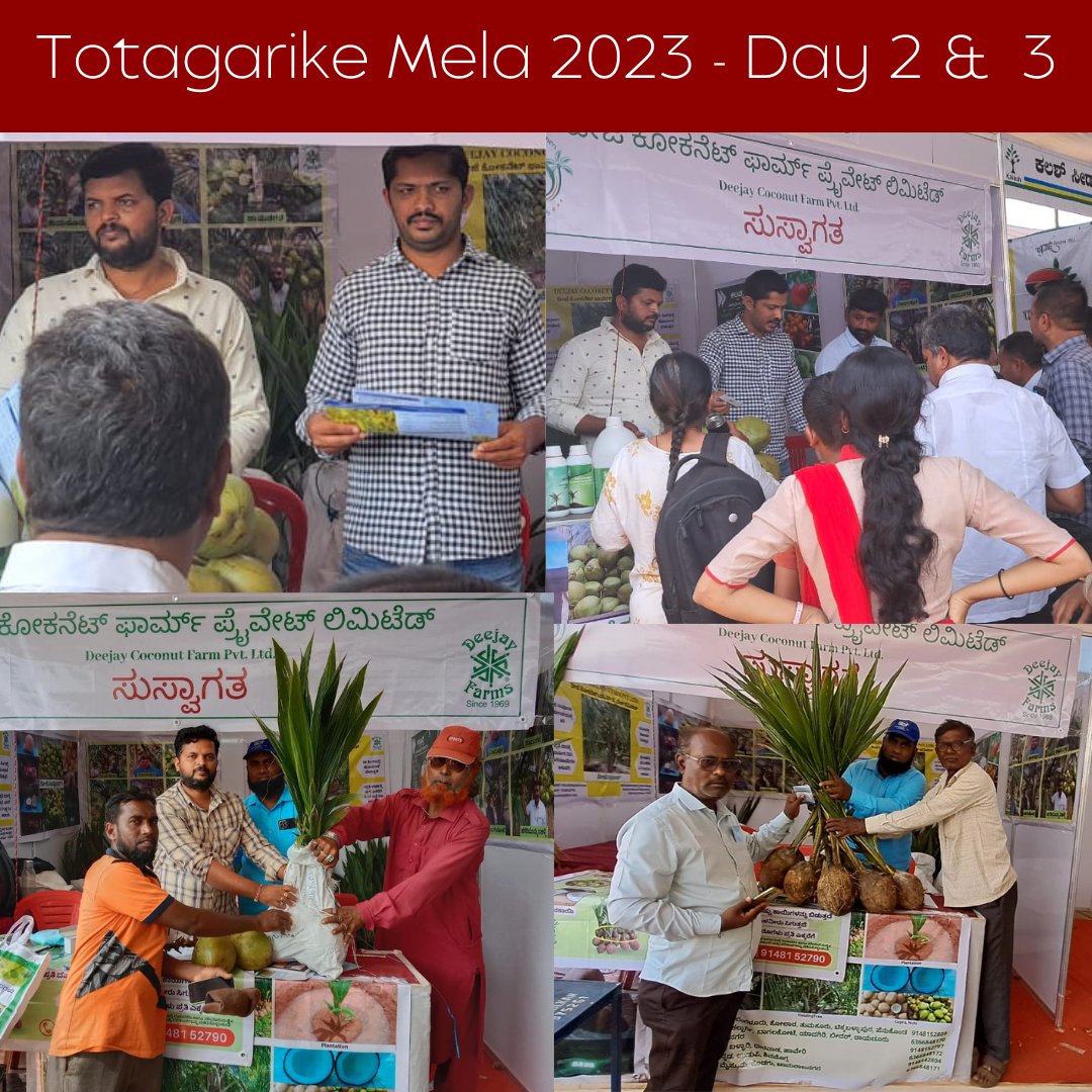 Stall No. 25
Reserve your seedlings for Totagarike Mela 2023 at UHS, Bagalkot, Karnataka, and take advantage of the exciting offer.
.
.
.
.
#DeejayFarms #HybridCoconutSeedling #DeejaySampoorna #Exhibition #UHS #Bagalkot #Karnataka #CoconutFarming #coconuts #Farming #Agriculture