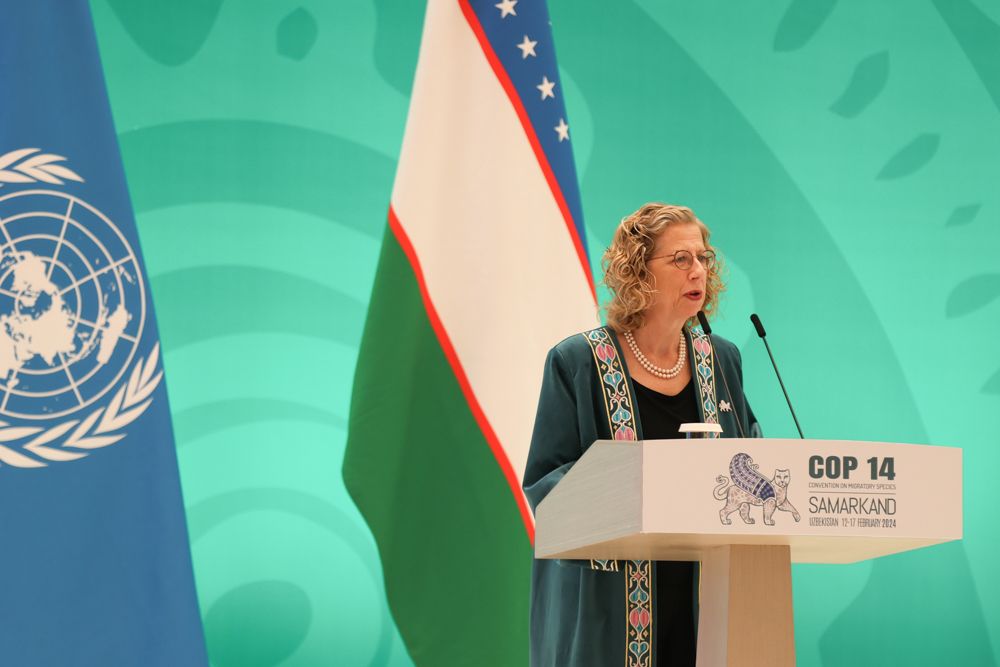 “Migratory species are in trouble, and that puts humanity in trouble,” warned @andersen_inger at #CMSCOP14.

#NatureKnowsNoBorders