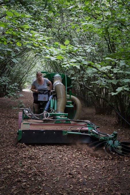 Un restaurant caníbal a Berlín tweet media