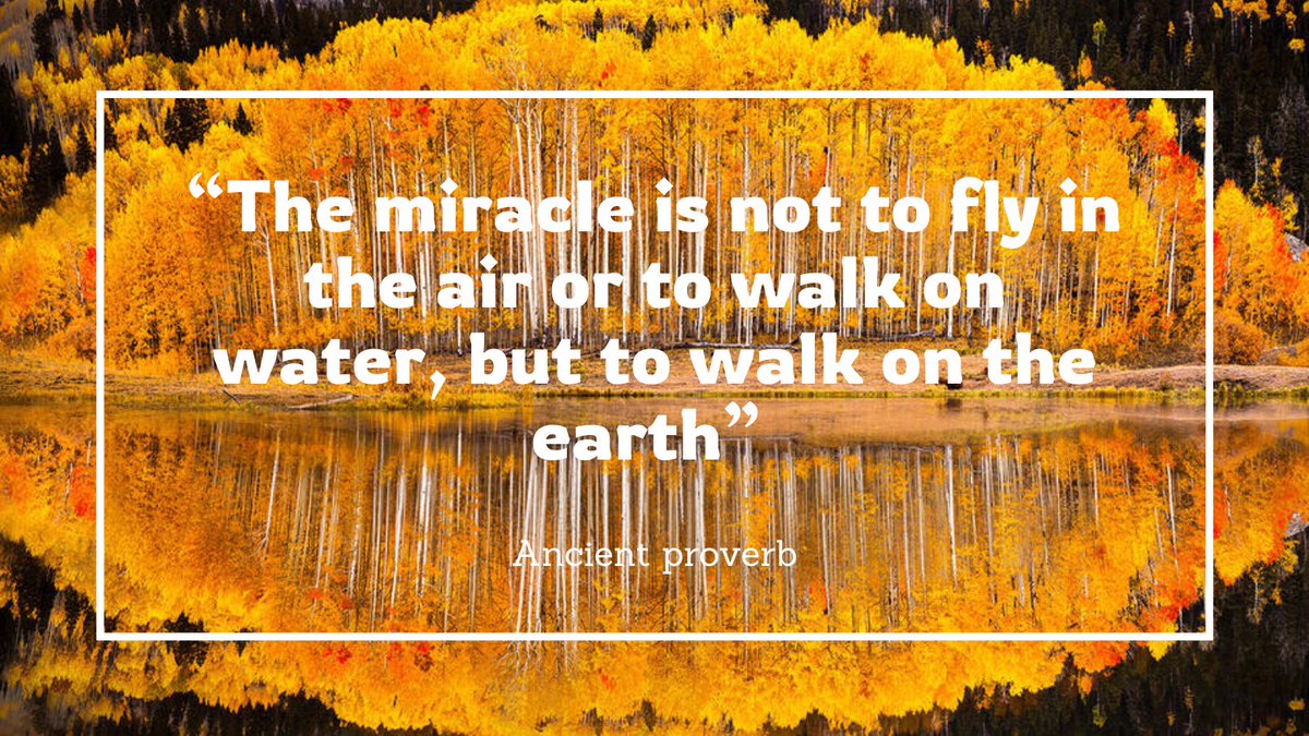 mynzocarbon's tweet photo. Starting our climate journey, honouring Earth's miracles. 🌍🌱  

#mynzo #mynzocarbon #climatechange #sustainabiity #ClimateAction #savetheplanet https://t.co/d3jlKyTpab