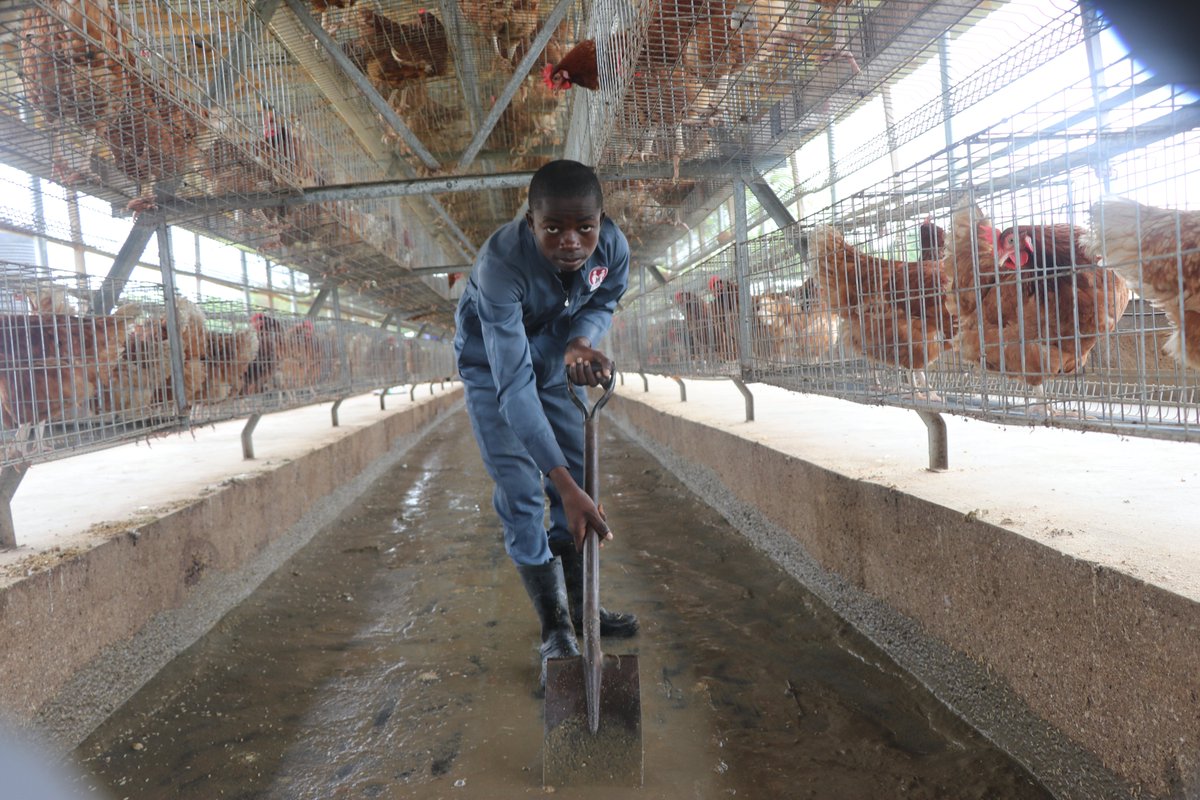 🌍🚀 Happy Monday, Young Farmers in Africa! 

Grow dreams, face challenges, and champion eco-friendly ways! 👫🌿 Inspire locally and STEP together for a brighter African future!💪

Happy Monday, STEP champions! 
#MondayMotivation #STEPAfrica #FutureFarmers