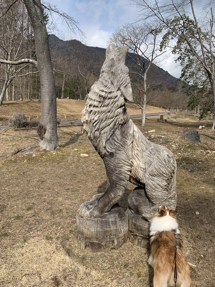 公園に散歩に行きました😊