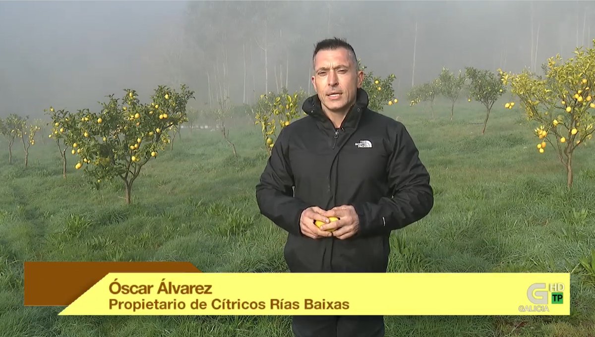fjuanadevega's tweet photo. #EmprendementoAgro Cítricos Rías Baixas (Tomiño) foi unha das empresas do XI Programa de Apoio da @fjuanadevega. O seu é un #casodeéxito en aplicación de agricultura rexenerativa, como conta  Óscar Álvarez no programa "A Labranza" - @crtvg.

Desde 00:25 ⤵️
https://t.co/pRbGq2AwXI https://t.co/puqwOSm3RY