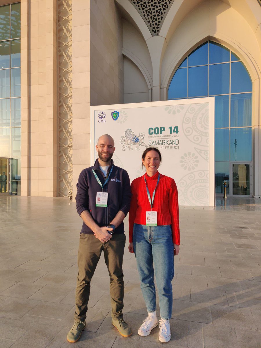 Team <a href="/whalesorg/">Whale and Dolphin Conservation (WDC)</a> checking in from Uzbekistan. We're in beautiful Samarkand for a meeting of the Convention on Migratory Species (CMS) #CoP14.

It's going to be a packed six days, but <a href="/edgoodall/">Ed Goodall</a> and I are ready to fly the flag for #whales, #dolphins and #porpoises 🐬 🐋 🌊