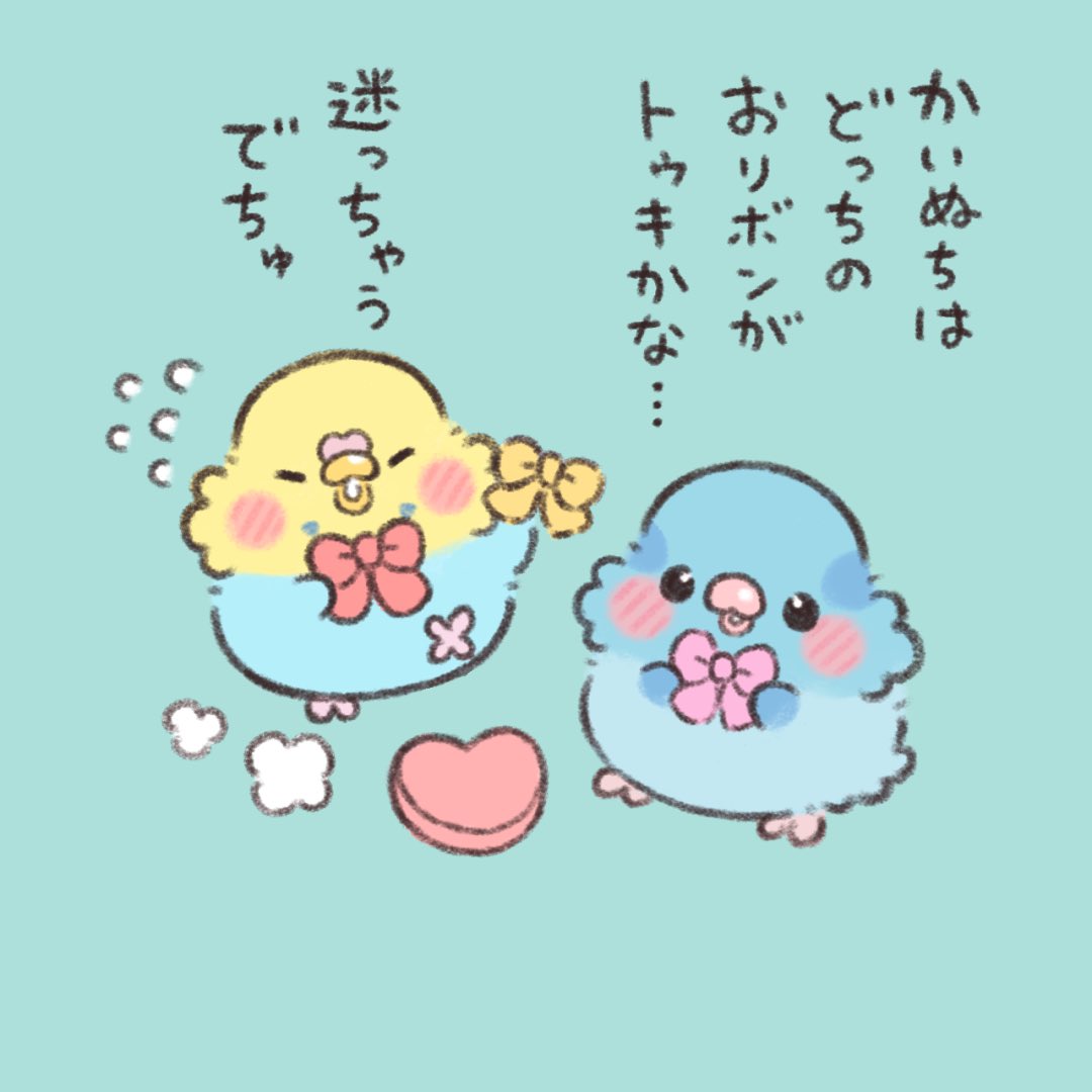 チュンちゃんたちは
バレンタインの準備中💘

#かいぬちダイトゥキ
#マメルリハ 