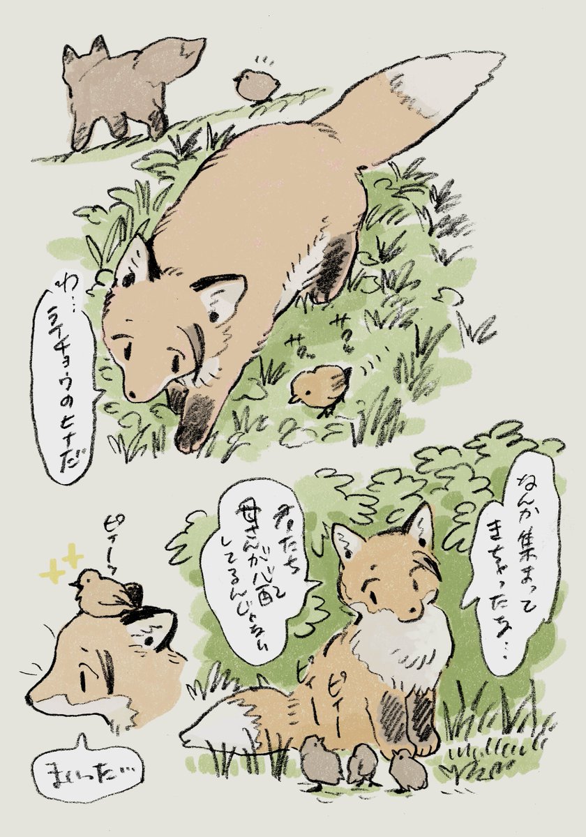 散歩中すぐる🦊 