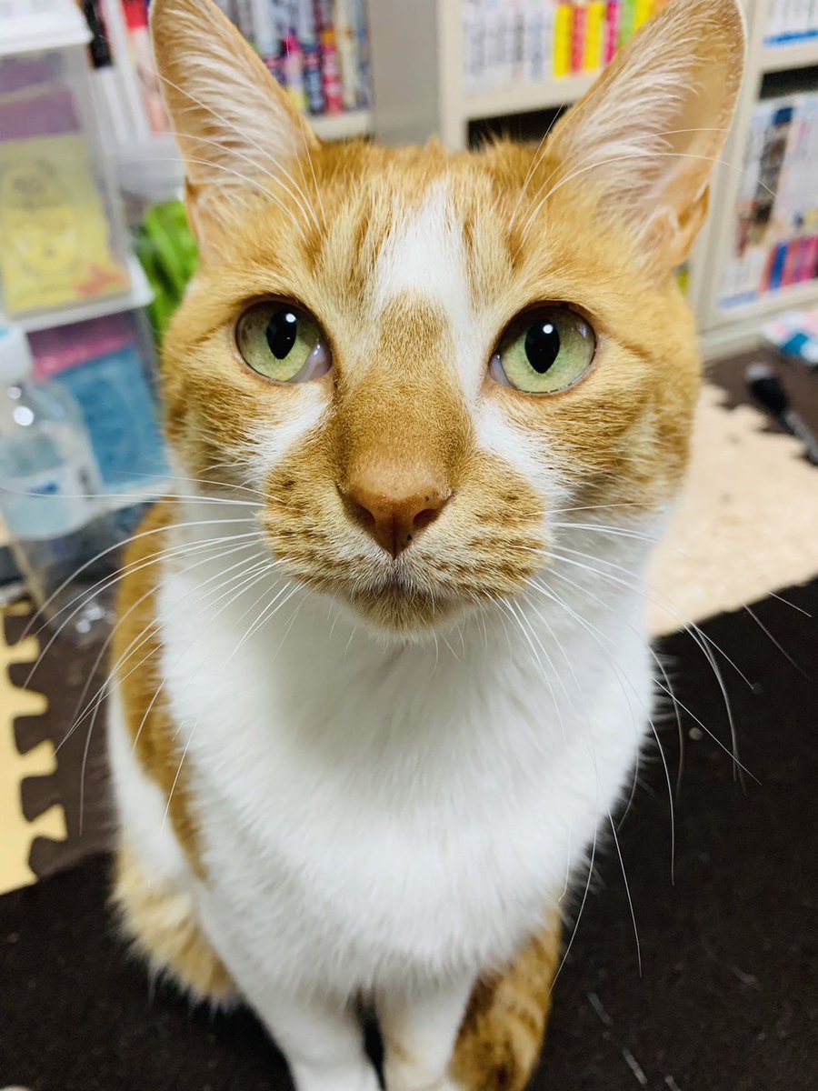 まさかず tweet media