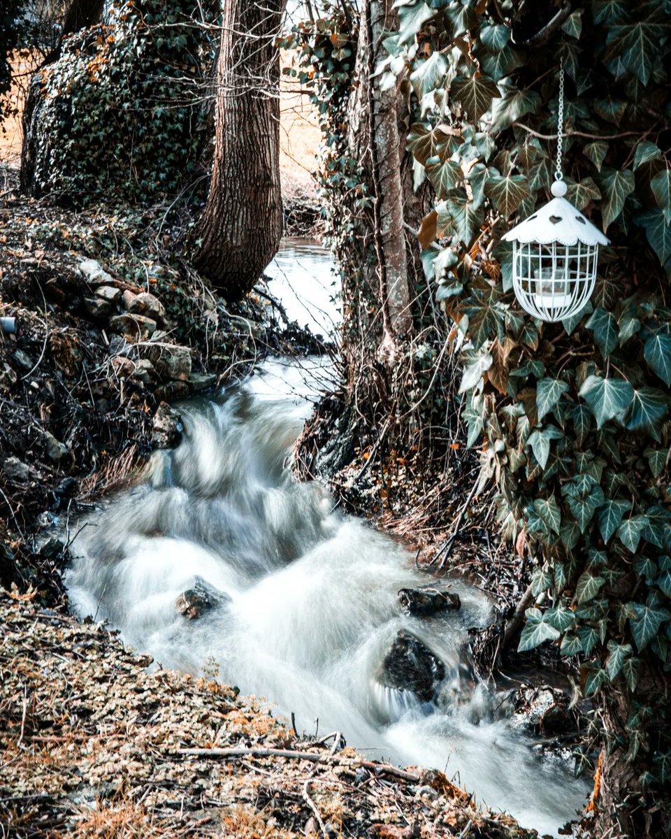 Rwin0204's tweet photo. En attendant le bon temps... #wildlifephotography #nature #photooftheday #photography📷 #photographe #belgium #lumixS5II https://t.co/wW5b690ZxP