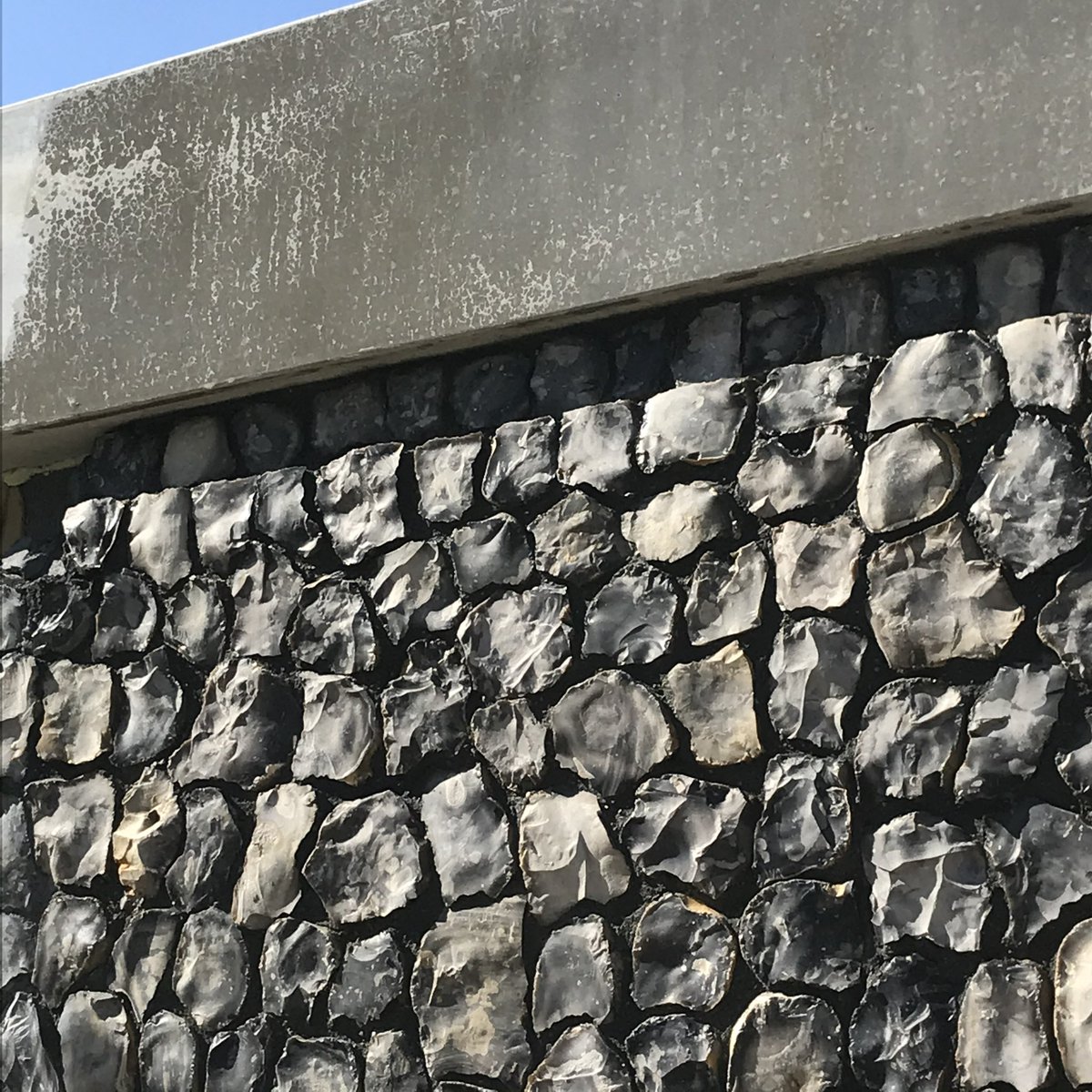 David Smith tweet media