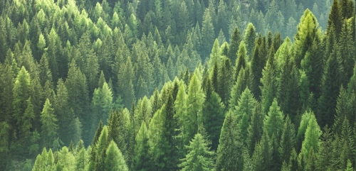 Energy_Post's tweet photo. Voluntary Carbon Markets (for emissions offsets) aren’t working. Little standardisation, regulation, transparency. What’s being done to fix it? https://t.co/VvRMnaTuBd #trade #offsets #credits #emissions #greenwashing #forestry #standardisation #US #Japan #VCMII #ICVCM https://t.co/gBQTxuBYFe