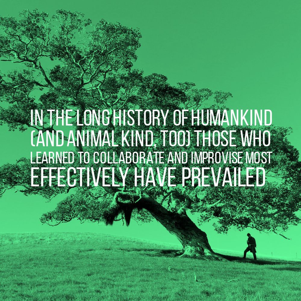 'In the long history of humankind (and animal kind, too) those who learned to collaborate and improvise most effectively have prevailed.' - Charles Darwin

#DarwinDay 🦍 #quote #inspiration #collaborate