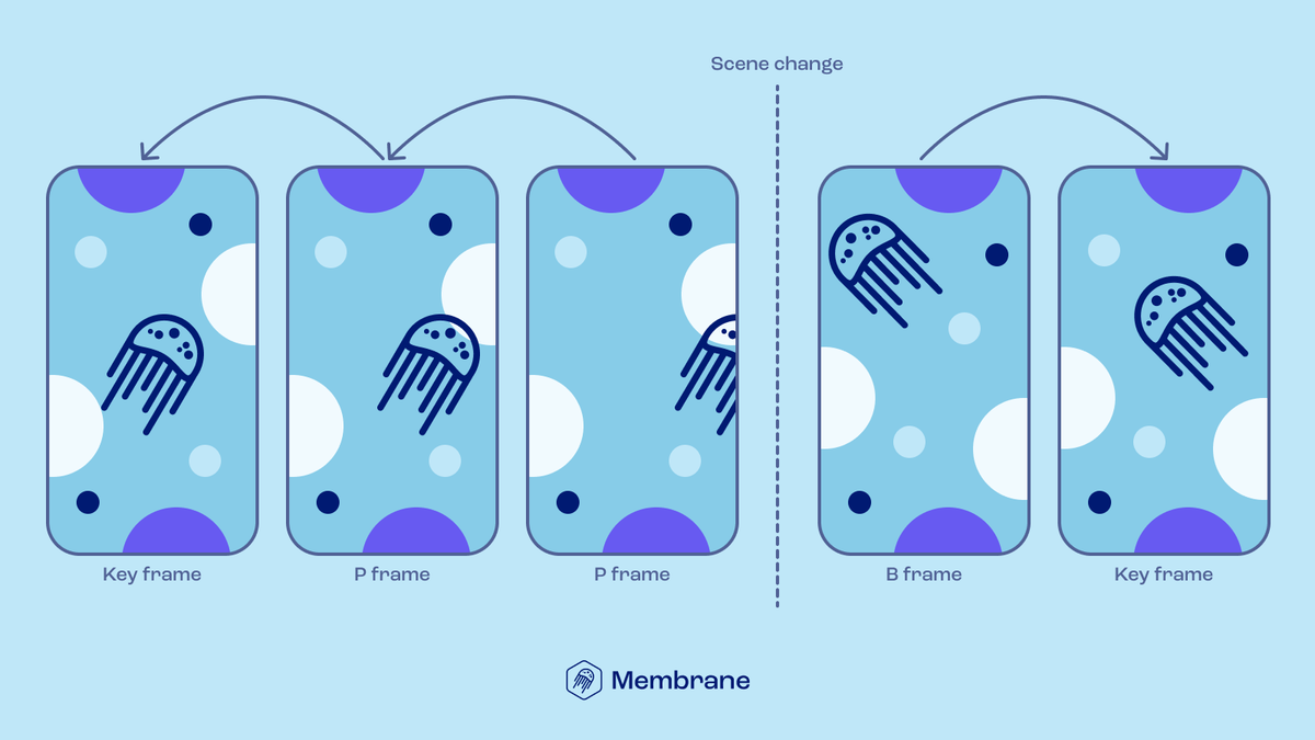 Elixir by Software Mansion tweet media