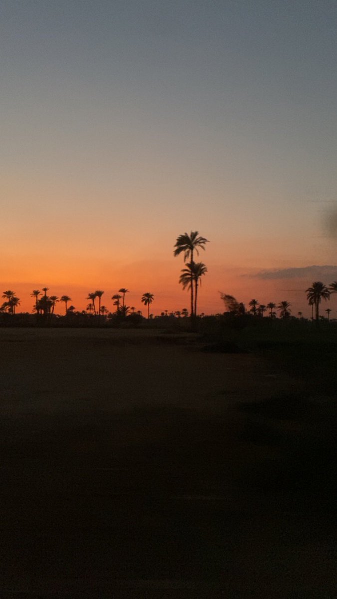 sanofaaaa's tweet photo. من قلب الغيط🌴 https://t.co/uuW4q6nsHy