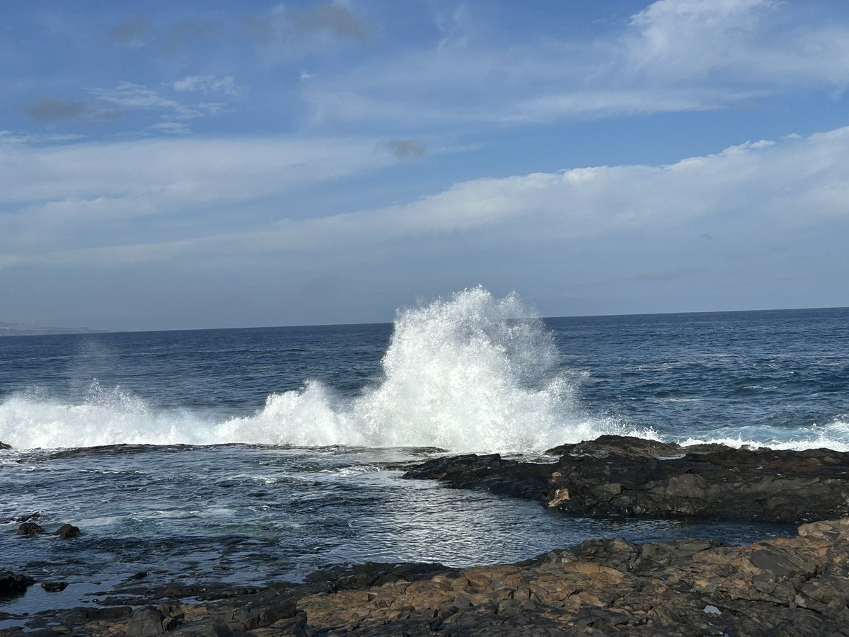 Felipe Morales tweet media