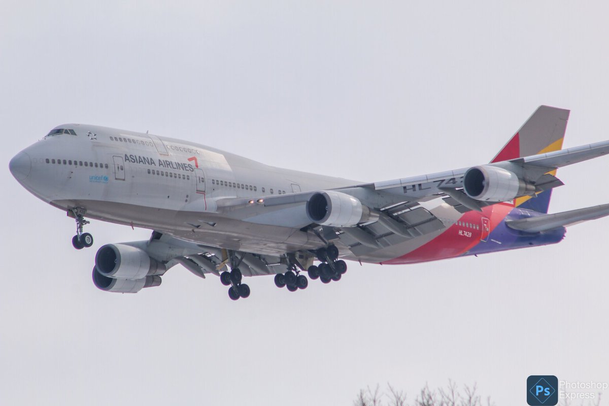 hachiyon132's tweet photo. 今日のアシアナさん。(その１)

#アシアナ航空
#asiana_airlines
#b747
#ジャンボジェット
#新千歳空港
#北海道
#試される大地
#試されてる大地 https://t.co/93Ma5UN7Nz