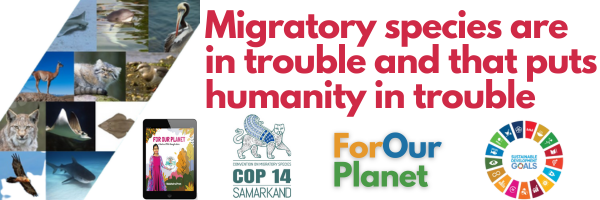 Nature does not recognize borders. To effectively conserve migratory species, the international community must work together.

From 12 to 17th Feb, Samarkand is hosting the #CMSCOP14 for the protection of #MigratorySpecies.

#NatureKnowsNoBorders #BiodiversityPlan.