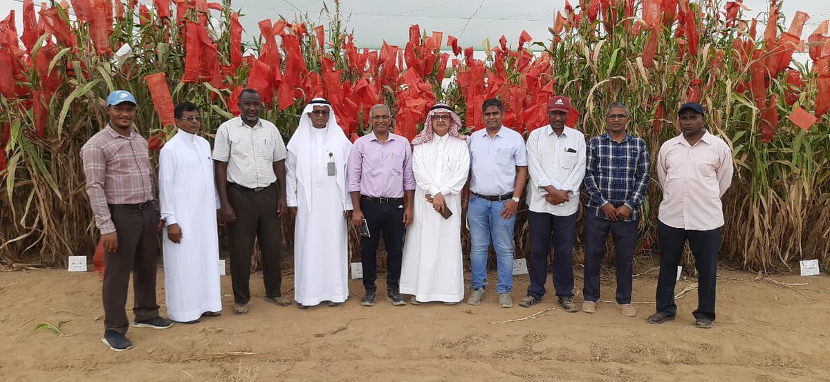 ICRISAT tweet media