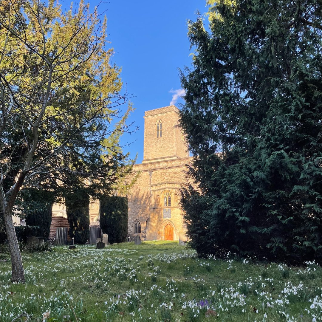 sehlibrary's tweet photo. It may be 5th week and it may be cold, but at least the Library and churchyard are looking lovely this morning 🥰

#FifthWeek #OxfordTerm #TeddyHall https://t.co/jxWuMWm0xm