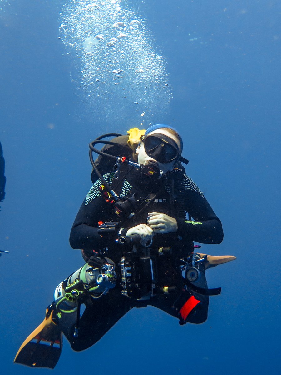 Dr. Kate Quigley (@la__cientifica) on Twitter photo On this #WomeninScience day - 🎉Congrats to <a href="/jcu/">James Cook Uni</a> PhD student <a href="/motherofcorals/">Sydney Bell</a> - she was awarded a <a href="/TheWDHOF/">WDHOF</a> advanced dive training scholarship!
This scholarship will support Sydney's professional dive training and underwater research on algal symbiont biogeography! Well deserved! On this #WomeninScience day - 🎉Congrats to <a href="/jcu/">James Cook Uni</a> PhD student <a href="/motherofcorals/">Sydney Bell</a> - she was awarded a <a href="/TheWDHOF/">WDHOF</a> advanced dive training scholarship!
This scholarship will support Sydney's professional dive training and underwater research on algal symbiont biogeography! Well deserved!