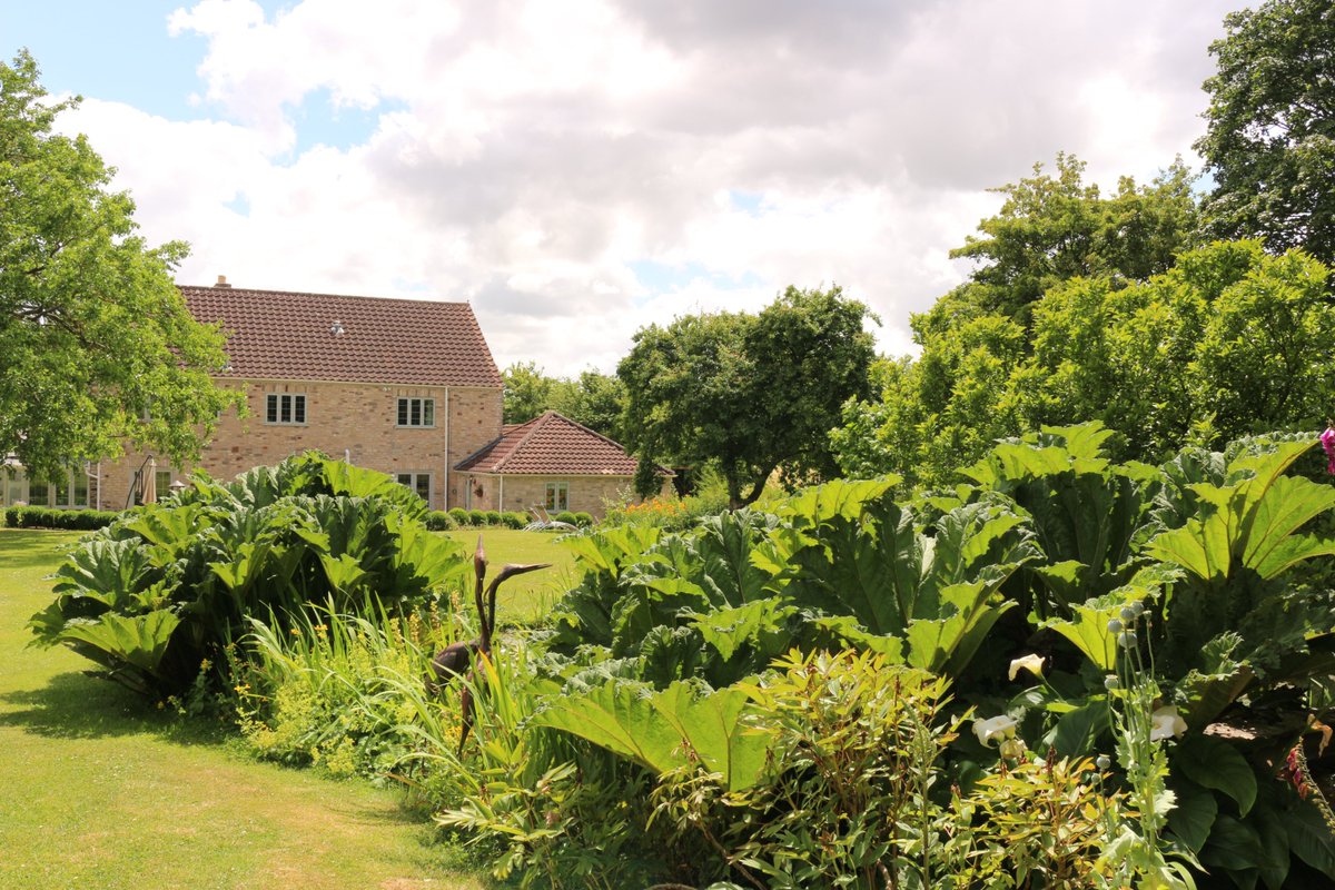 GitesGrandBodo's tweet photo. Escape the hustle and bustle with a countryside getaway at The Annexe Yew Tree Cottage! 8 miles from Bath and Bristol, our cosy cottage is perfect for solo travelers or couples seeking tranquility.  Book now for a peaceful retreat! https://t.co/NSB6ppp7nU https://t.co/ldNGsmEc6o