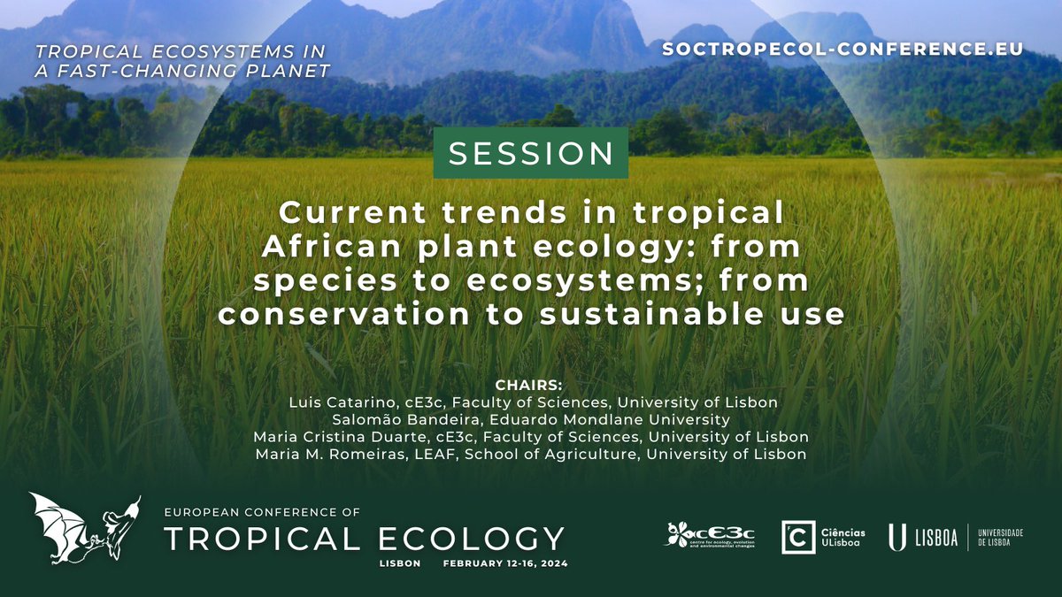 Excited to head to Lisbon today to attend <a href="/soctropecol/">@Tropical Ecology</a> ‘s European Tropical Ecology Conference. I will be presenting my work on functional trait-environment relationships in the Malagasy grassy flora Thursday at 15.00 in Room C 🌾🌾🌾