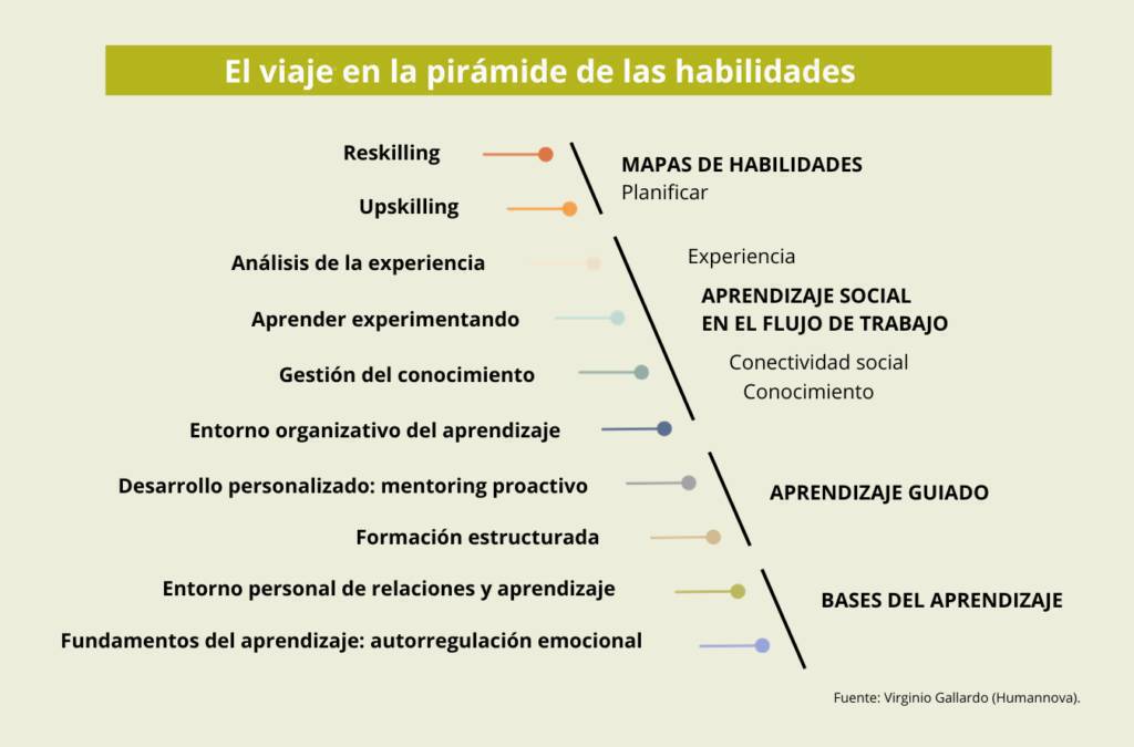 Humannova's tweet photo. Buen artículo de @virginiog
Reskilling: la organización focalizada en habilidades 

https://t.co/3mrwoTqG1j

 Vía @ORH_RH #reskilling https://t.co/49Sxey8xF6