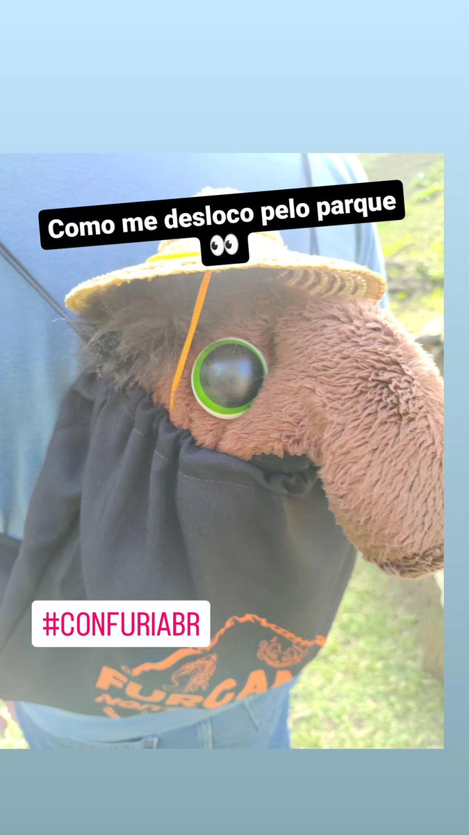 A_Anta's tweet photo. Para quem se pergunta como estou andando, pelo parque sem ter pernas aqui está a resposta!
Estou de carona, e já participei de todas as atividades até agora do evento 😁

#confuriabr #anta #antabiscoito #furry #eventofurry #furcamp https://t.co/Gy3mR2pypt