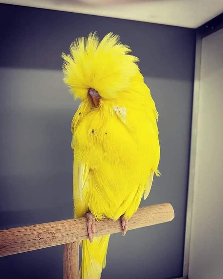 Maturity is when you realize that it's only you who can fix you .
Good afternoon